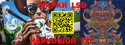 индика Лесосибирск
