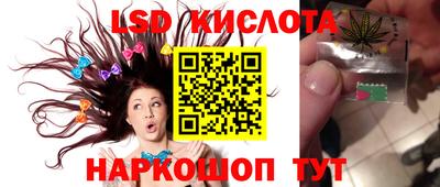 индика Лесосибирск