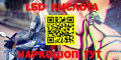 индика Лесосибирск