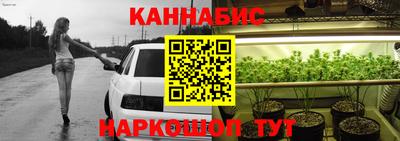 индика Лесосибирск