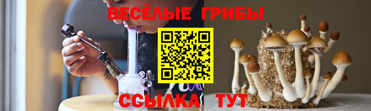Галлюциногенные грибы мицелий  Галлюциногенные грибы мухоморы  Вход с VPN  Гулькевичи 